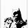 Batman and Robin Black and White