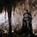 Batman in Cave