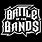 Battle of the Bands Logo