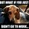 Beagle Meme Funny