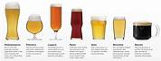 Beer Drinking Glass Types