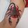 Best Scorpion Tattoo