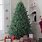 Best Unlit Artificial Christmas Trees