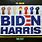 Biden Harris 2024 Flag