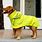 Big Dog Raincoat