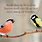 Bird Bible Quotes