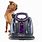 Bissell Pet Spot Cleaner