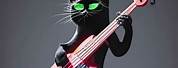 Black Cat Playing Bass