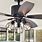 Black Ceiling Fans with Lights
