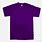 Blank Purple Shirt