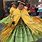 Bolivia Traditional Dress