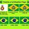 Brazil Flag WW2