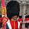 British Palace Guards