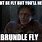 Brundlefly Meme