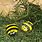 Bumble Bee Painted Rocks