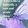 Butterfly Love Quotes