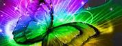 Butterfly Wallpaper for Kindle Fire HD