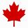 Canadian Maple Leaf Icon