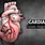 Cardiac Asthma Logo