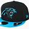 Carolina Panthers Hat