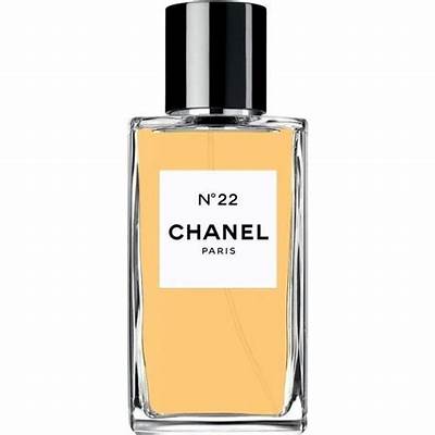 CHANEL NO 22 Eau De Toilette Spray Vintage Perfume 3.4 Fl. Oz Rare