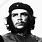 Che Guevara Iconic Photo