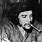 Che Guevara Picture