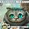 Cheshire Cat Meme