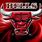 Chicago Bulls 1