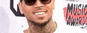 Chris Brown Permed Hair