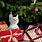 Christmas Cat with Presents