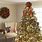 Christmas Tree at Home