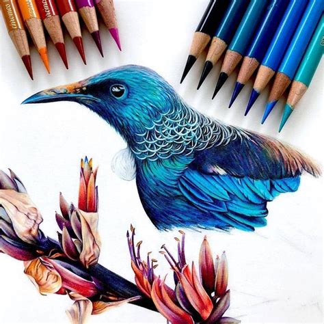 Colored Pencil Drawing Ideas