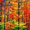Colorful Autumn Trees
