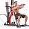 Compact Home Gyms Exercise Equipment