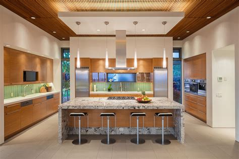 Contemporary Kitchen Ceilings