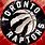 Cool Raptors Logo