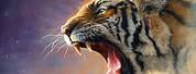 Cool Tiger Wallpaper 4K