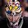 Coolest NHL Goalie Masks