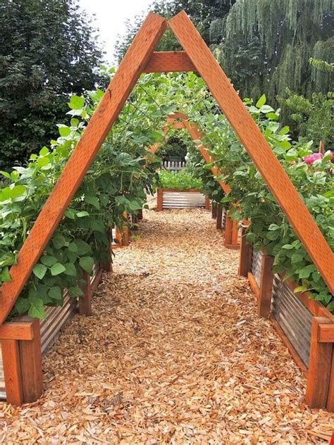 Creative Vegetable Garden