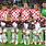Croatia National Soccer Team