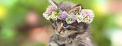 Cute Animals with Flowers