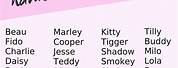 Cute Dog and Cat Names