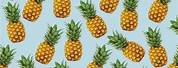 Cute Pineapple Wallpaper for Laptop