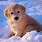 Cute Snow Puppies