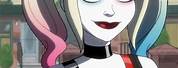 DC Harley Quinn X Male Reader