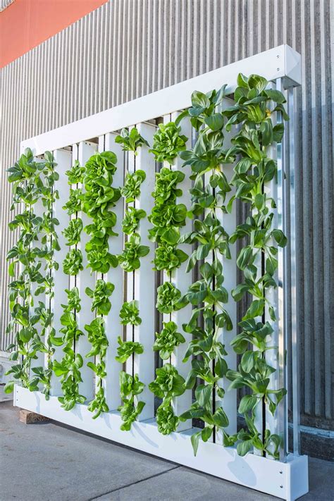 DIY Indoor Vertical Garden Systems