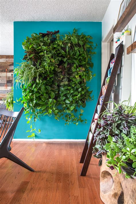 DIY Indoor Vertical Wall Garden
