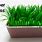 DIY Paper Grass