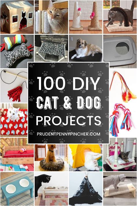 DIY Pet Projects
